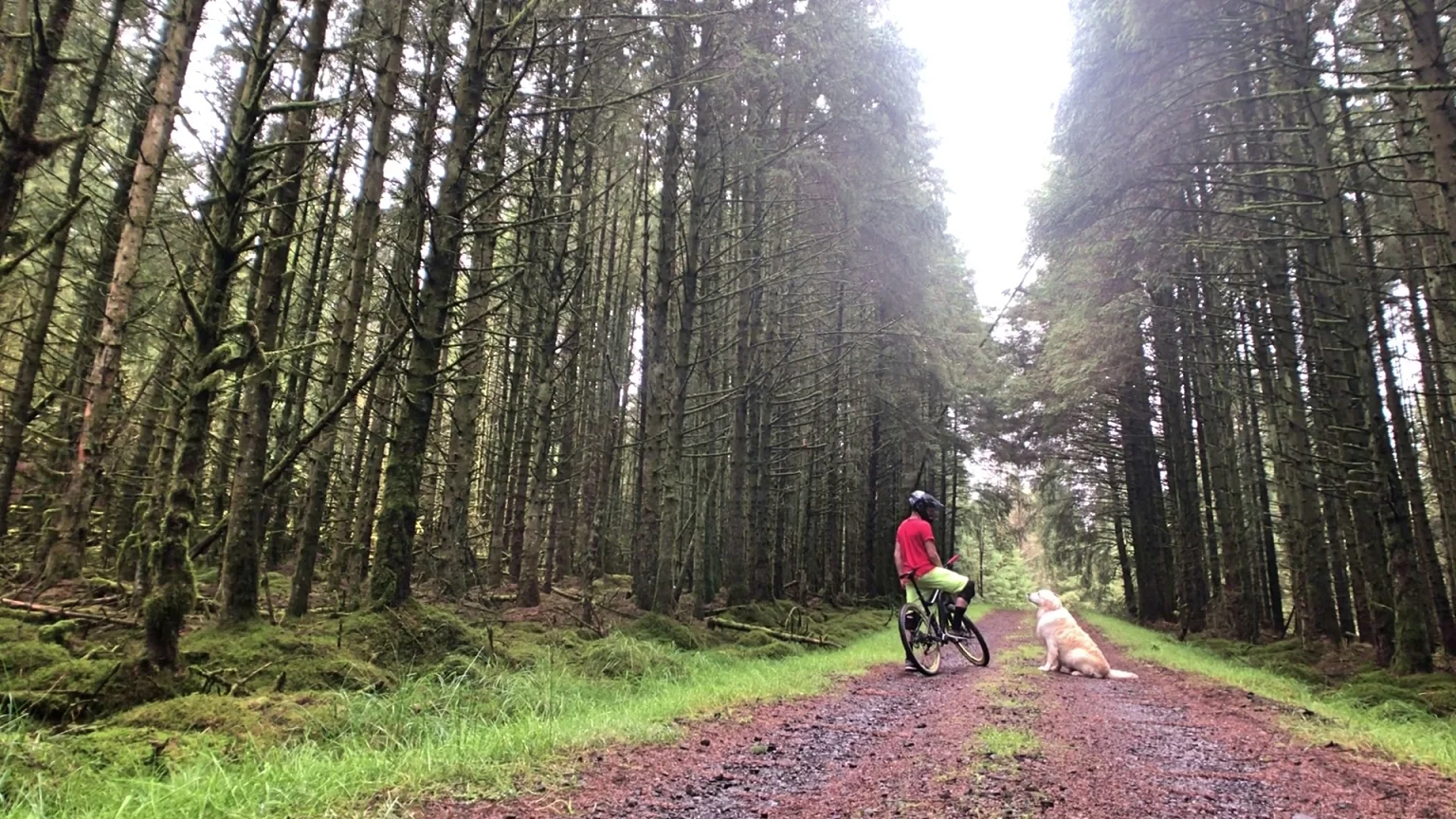 DAVAGH FOREST NI EXPLORER